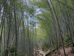 -黄山翡翠谷景区
