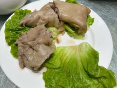 -丁老爷子苏香圆
