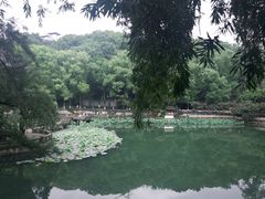 -忠山公园