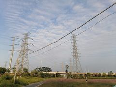 -王借岗森林公园