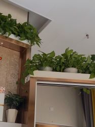 -尚艺造型.剪烫染.接发