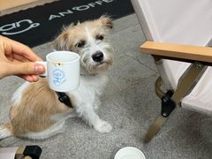 -Beans Solo豆号咖啡(百家湖花园店)