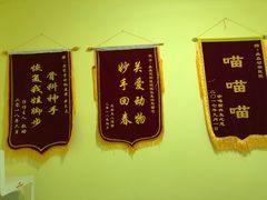 -瑞鹏宠物医院·爱宠堂·骨外专科(西荷分院)