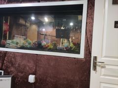 -嘉音阁录音棚影视制作中心(鑫丰雍景豪城1期店)