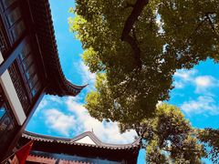 -沈大成(城隍庙店)