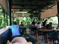 -植物园哈利亚餐厅