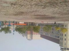 -南开大学滨海学院