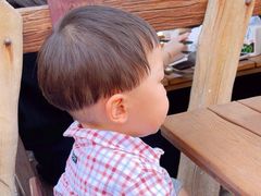 -Tangled Tree Tavern 老藤树食栈