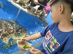 -泉城欧乐堡海洋极地世界