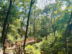 -大岭沟猕猴桃谷风景区