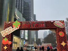 -金茂览秀城