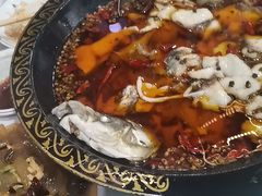 -金三可市井水煮鱼(金碧园店)