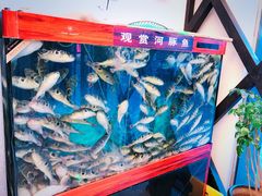 -肆月河豚·新淮扬(金融街店)
