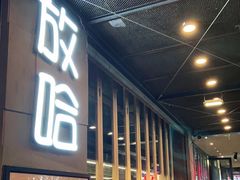 -放哈·甜醅子奶茶创造者(正宁路店)