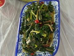 -照金特色农家乐