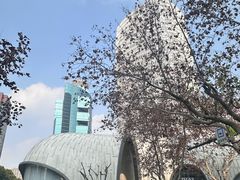 -上海尚嘉中心
