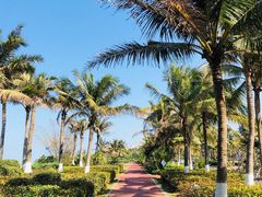 -白沙门生态公园