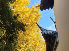 -西园戒幢律寺