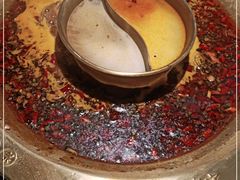 -哥老官重庆美蛙鱼头(龙湖杭州金沙天街店)