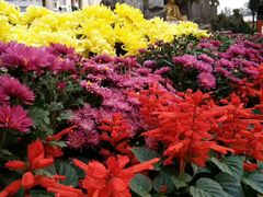 -龙脉温泉室内游泳馆