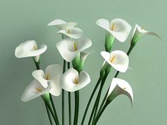 -永和大王(小厨·东四十条店)