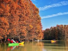 -上海海湾国家森林公园