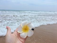 -青岛银沙滩