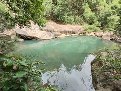 -广州白江湖森林公园