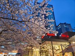 -玛格萝妮比萨屋(四平店)