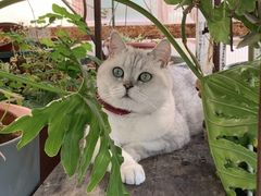 -小时光咖啡馆(北锣鼓巷店)