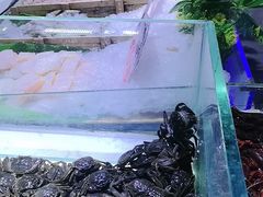 -聚盛源蒸汽海鲜火锅烤肉自助(巨川金海岸购物广场店)