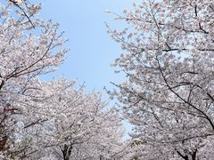 -自然谷恐龙园