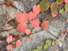 -福建师范大学(仓山校区)