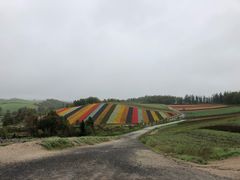 -富田农场