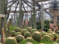 -华南国家植物园-售票处