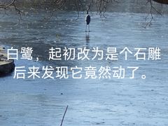 -石家庄市植物园