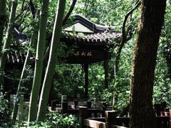 -上海佘山国家森林公园天马山园