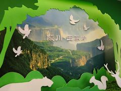 -王莽岭风景区
