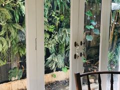 -Fern Forest Cafe