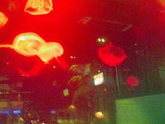 -Judy's  spot