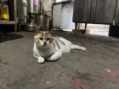 -安庆柴火馄饨(马道街店)