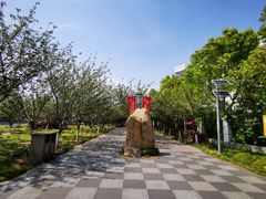-高东镇樱花园