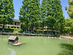 -乌村