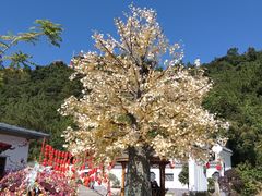 -东莞观音山旅游风景区