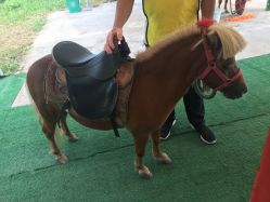 -萌宠亲子动物乐园(槐房万达店)