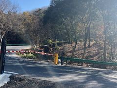 -句容茅山景区