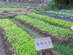 -茂德公草堂