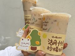 -猫的魔法密林(衣裳街店)