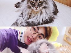 -猫和宫(六道口店)