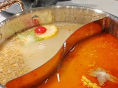 -椰子湾·海南火锅·糟粕醋·椰子鸡(正大广场店)